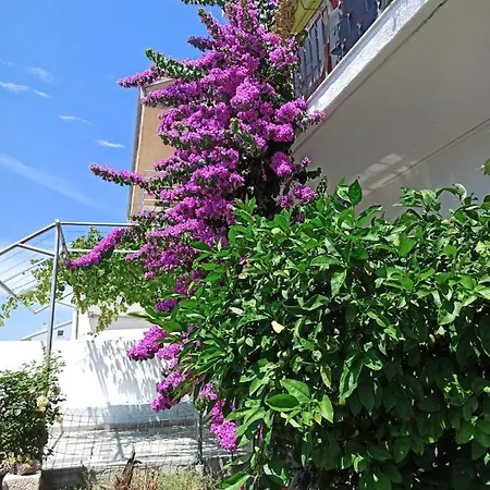 Apartment New! Terrazen - Free Car Parking Split
